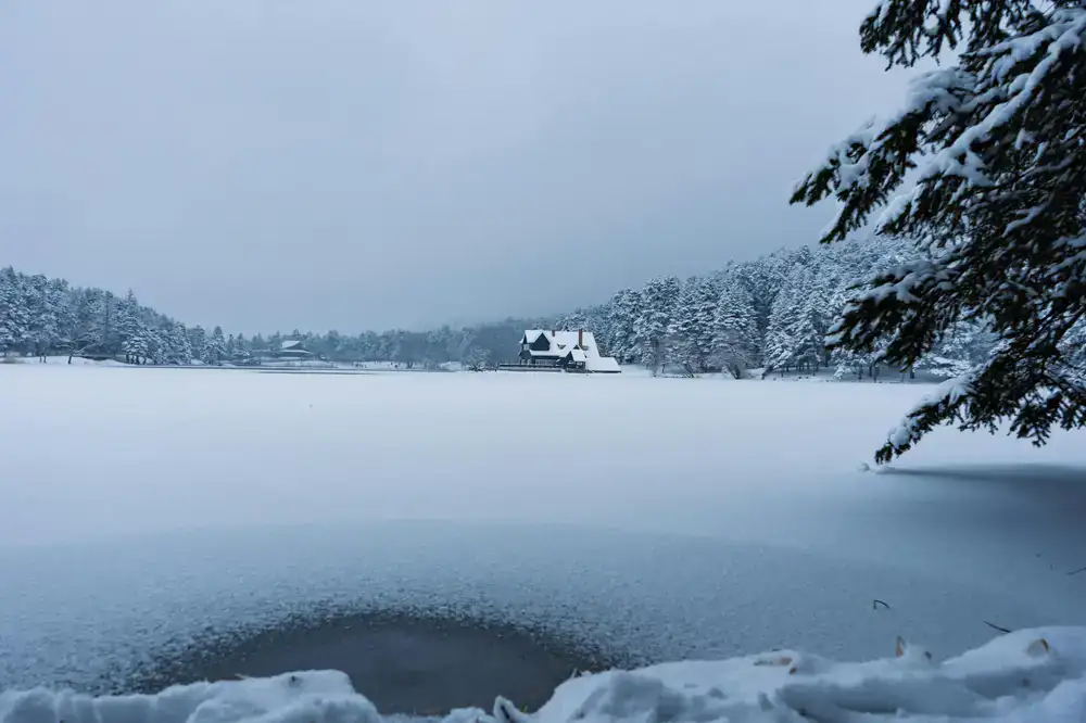 Vast frozen lake surrounded by peaceful winter trees at Millpond Lodge